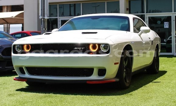 Acheter Import Voiture Dodge Challenger Blanc à Import - Dubai, Dakar