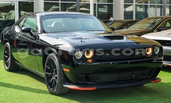 Buy Import Dodge Challenger Black Car in Import - Dubai in Dakar