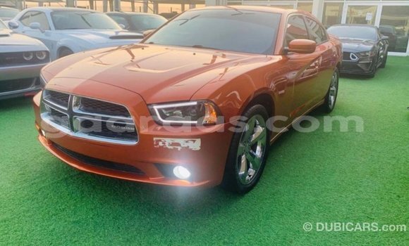 Buy Import Dodge Charger Other Car in Import - Dubai in Dakar Buy Import Dodge Charger Other Car in Import - Dubai in Dakar