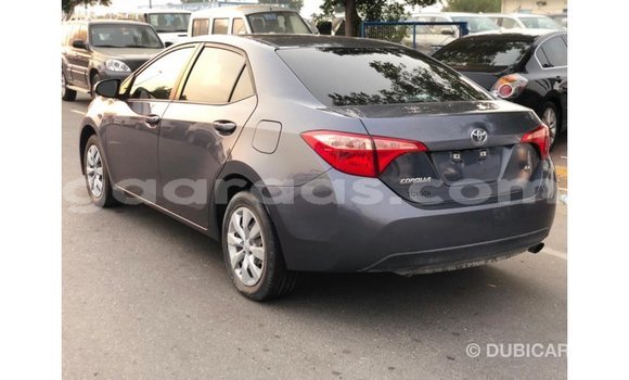 Buy Import Toyota Corolla Other Car in Import - Dubai in Dakar Buy Import Toyota Corolla Other Car in Import - Dubai in Dakar