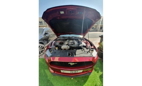 Dieundeu Imported Ford Mustang Red Auto in Import - Dubai in Dakar Dieundeu Imported Ford Mustang Red Auto in Import - Dubai in Dakar