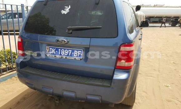 Dieundeu Occasion Ford Escape Blue Auto in Bakel in Tambacounda Dieundeu Occasion Ford Escape Blue Auto in Bakel in Tambacounda