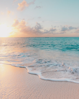 Thumb screenshot 2026 03 16 130605